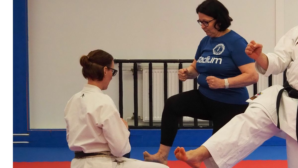 Hyvän Kunnon Seniorikarate-opinnäytetyö julkaistu